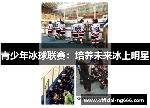 青少年冰球联赛：培养未来冰上明星